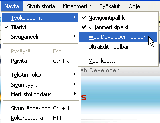 Kuva:webdeveloper_9.gif